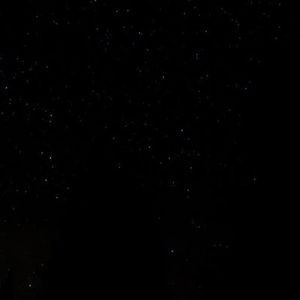 Meet your Posher, Gianna